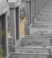 青岛祖坟墓地出现这种现象，大事不妙，千万要注意了！